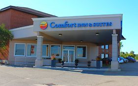 Comfort Inn & Suites